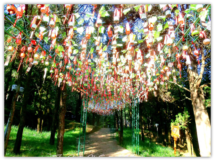 去丽江一般什么季节去最好