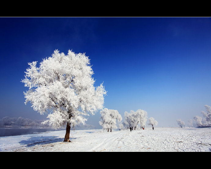 春节来了,去吉林吧!边看雪景边过年!