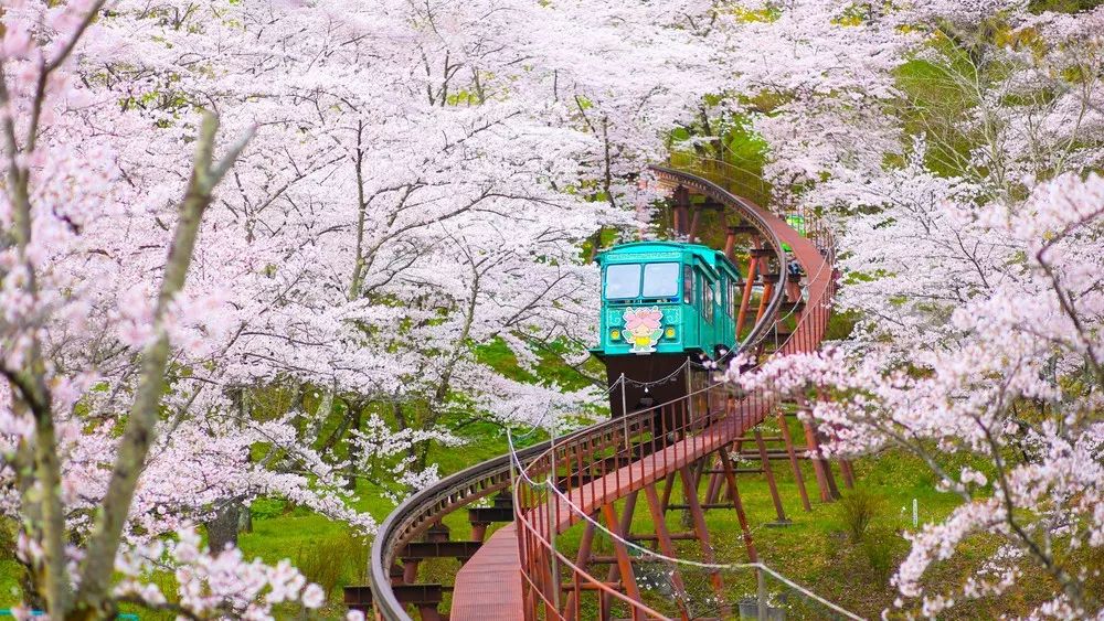潜派旅行