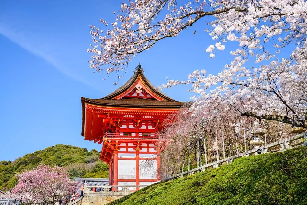 潜派旅行
