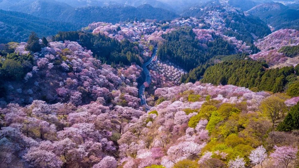 潜派旅行
