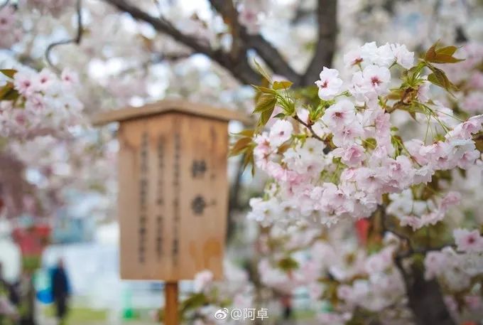 潜派旅行