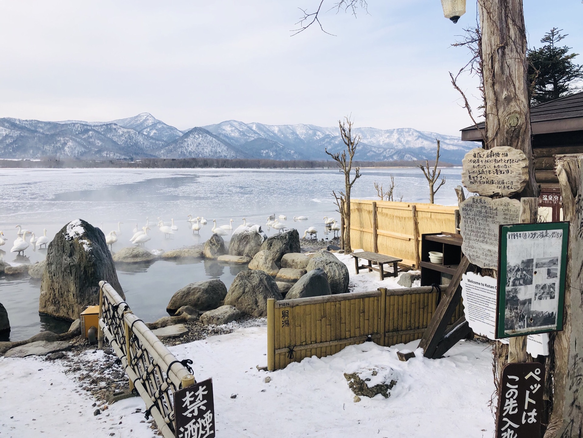 北海道道东雪之恋—钏路,阿寒湖,屈斜路湖,网走