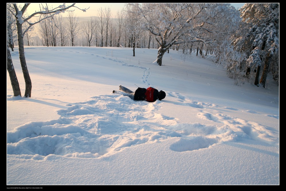 八人口技唱林海雪原_林海雪原图片(3)