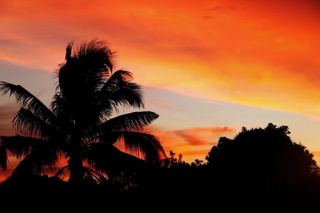 多哥——西部非洲的神秘国度（志愿者工作一年摄影纪实）_游记