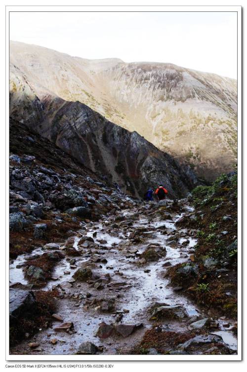 雪很快就化成了水,本来就崎岖不平的下山路变得更加难走.