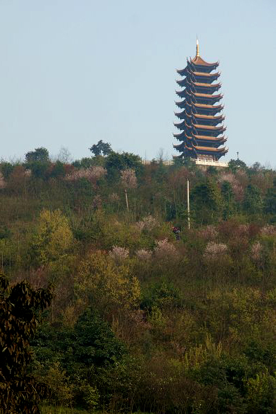 重庆 照母山,重庆自助游攻略 马蜂窝