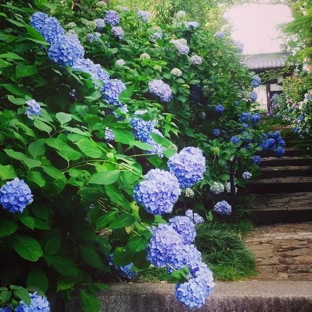 潜派旅行