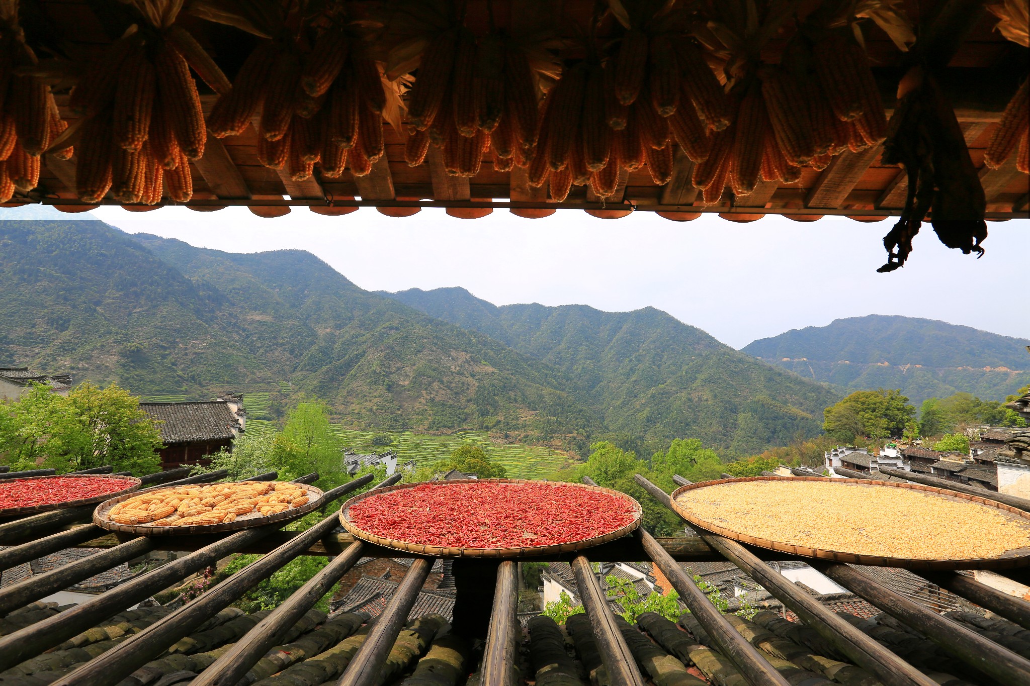 ·华东自驾之旅_游记