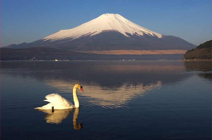 富士山在日本哪个城市，富士山在东京吗_东京旅游攻略|自由行攻略__深圳 