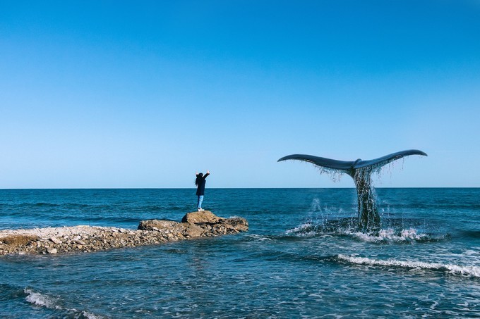 西出阳关无故人：青海湖旅游攻略青海湖包车攻...