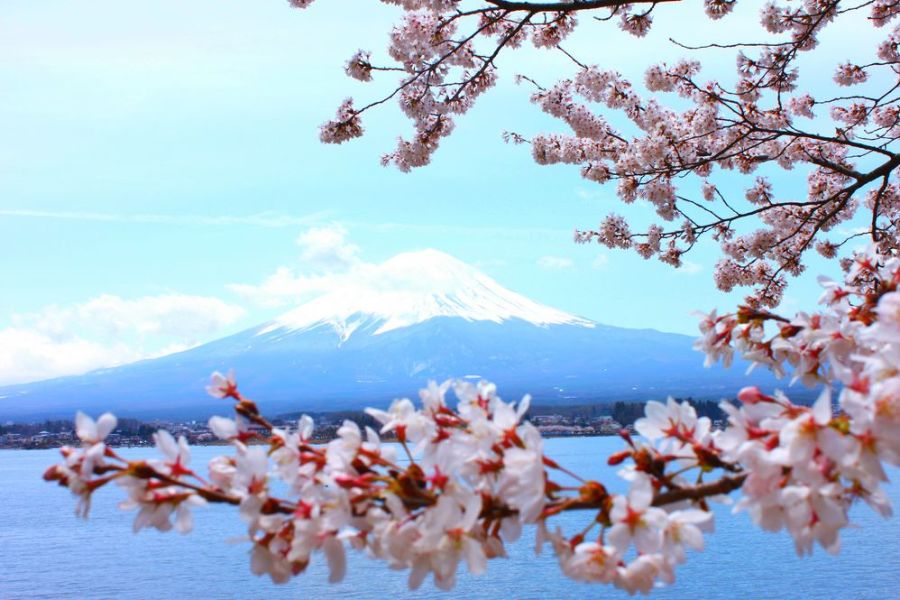 如何去富士山，东京到富士山要多久