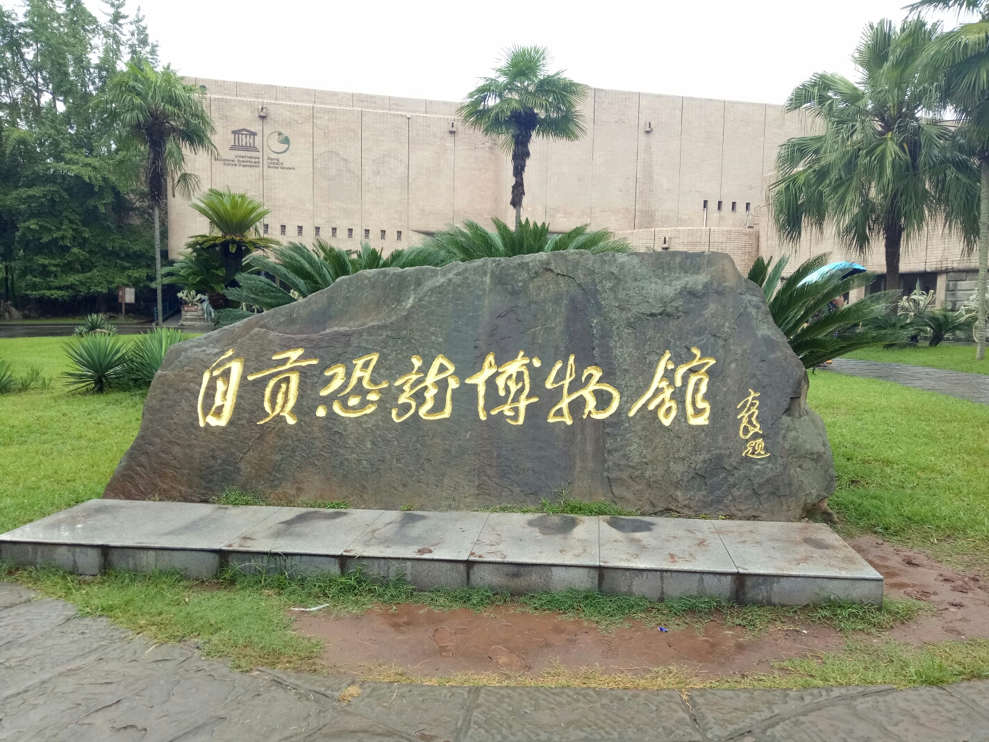 说走就走的盐城自贡＋白鹿_游记