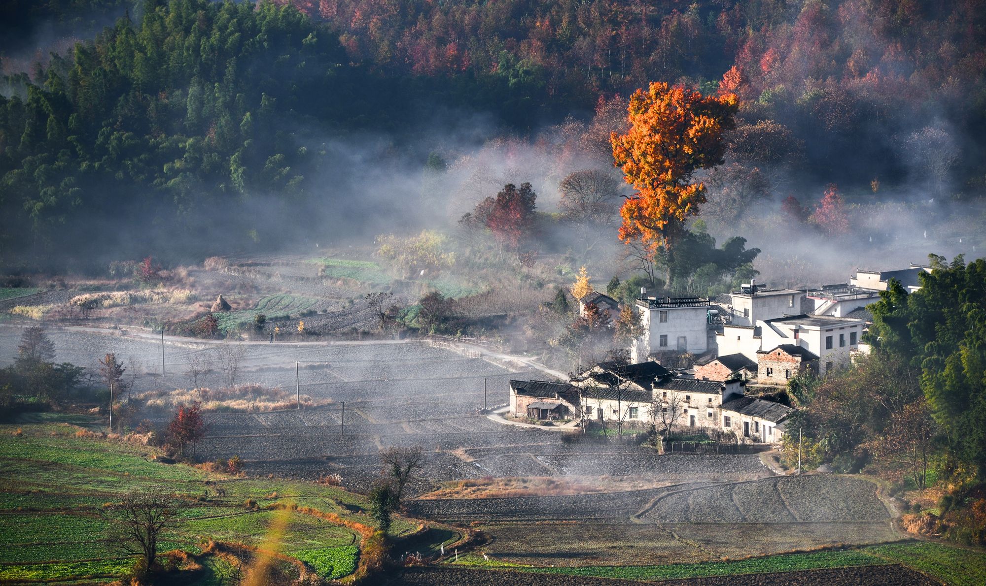 黄山黟县 塔川景区官方电子票(提前半小时预订/官方直销/快速出票)