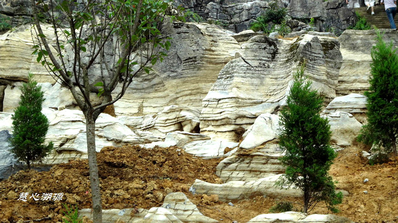 【恩施图片】恩施故事（2）—恩施大峡谷：天生奇石一枝香