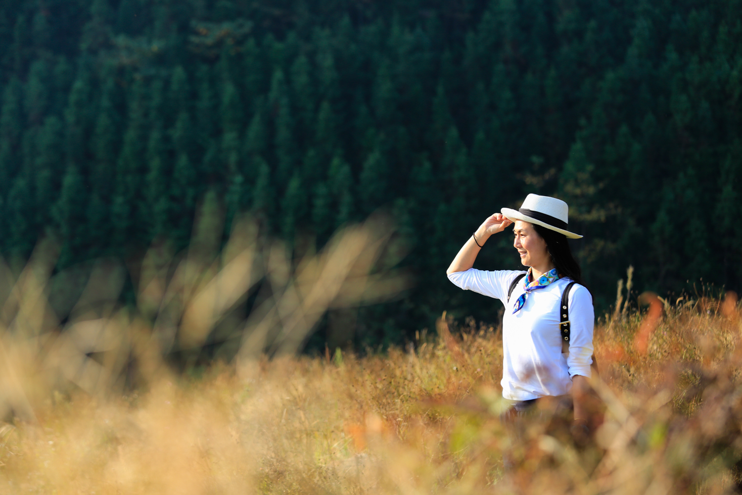 那个山连山的连山