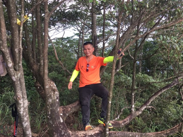 山上美女背影图片 wKgBZ1l64M-AGB2oABODt9lCti833.jpeg?imageView2%2F2%2Fw%2F600%2Fh%2F600%2Fq%2F90