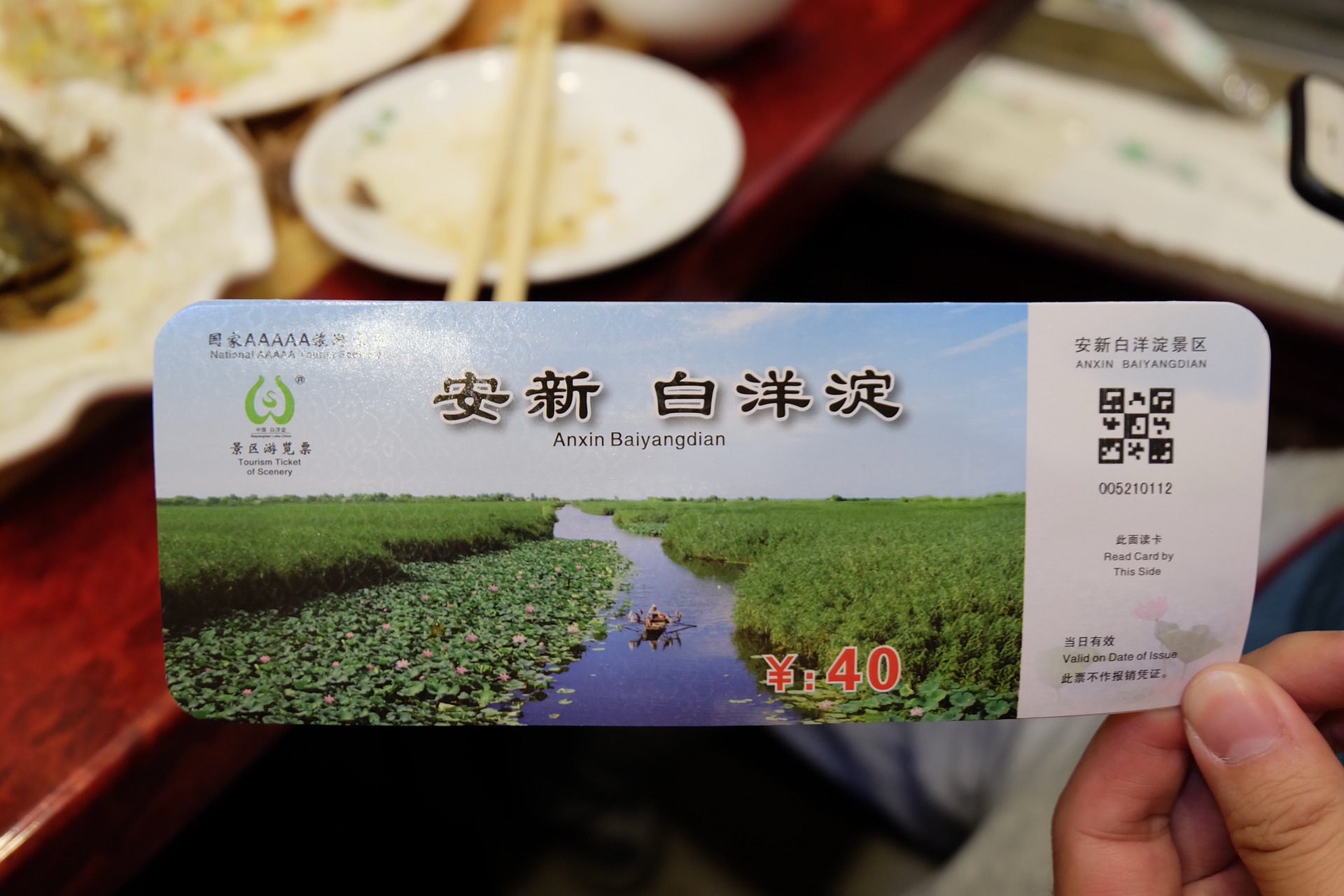 国庆期间游趟白洋淀～虽不见荷花却也景色宜人_游记