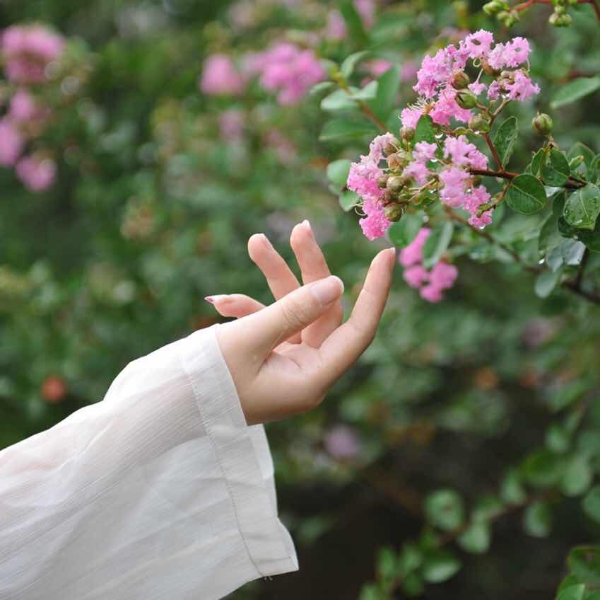 君心蓝(ℴ ˬℴ ⑅)