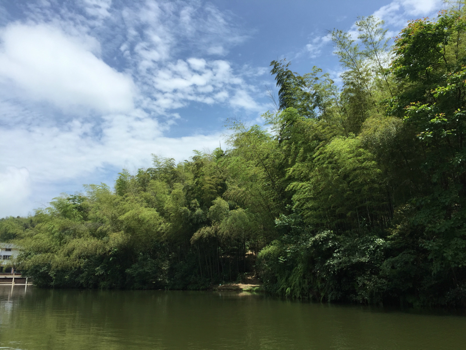 【原创】中国的西南角——竹海:"竹"之山,"海"之林