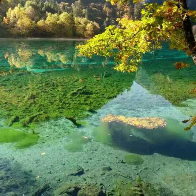 柳暗花明