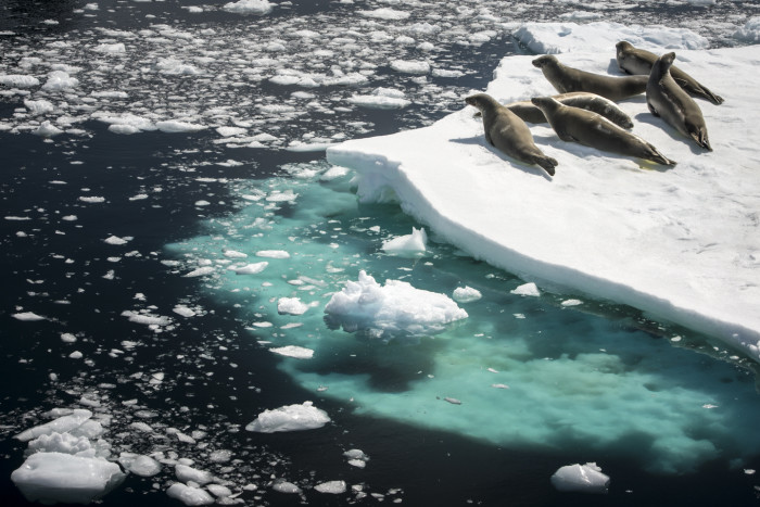 哪个季节去南极好?什么时候去南极最好