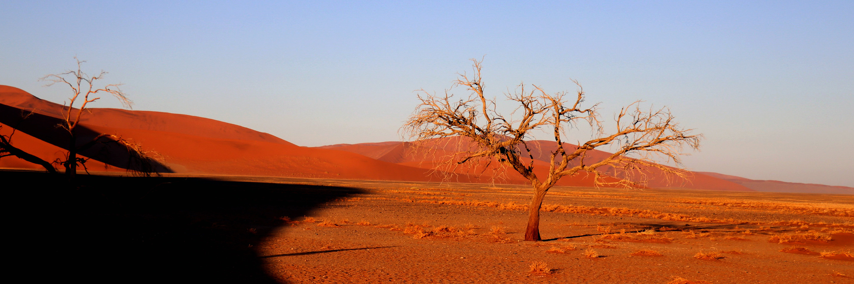异域的纳米国    惊艳的红沙漠（连载完）_游记