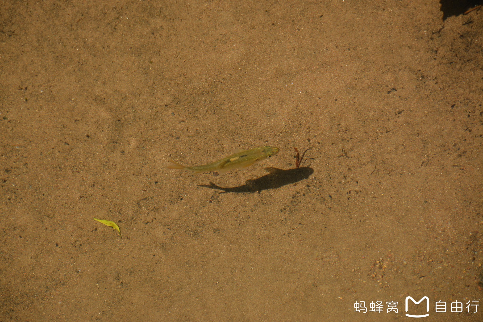 wKgBZ1k4-KmAWFznAAz2v2ztXns70.jpeg?imageView2%2F2%2Fw%2F600%2Fh%2F600%2Fq%2F90