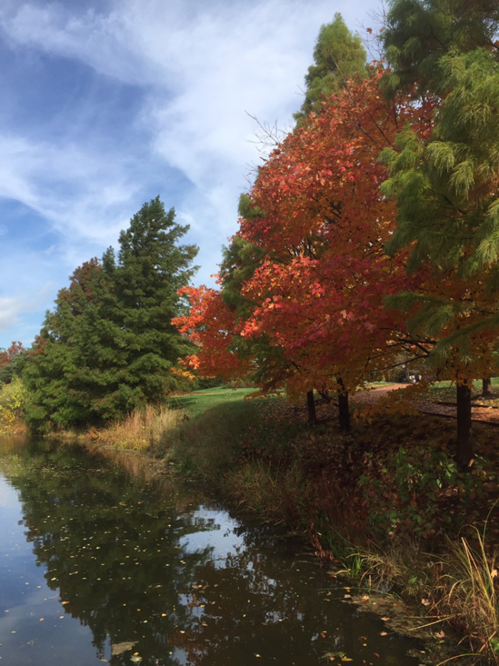 被称为风城的芝加哥天气经常很糟糕吗