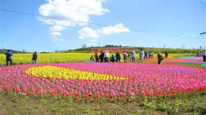 辽源鴜鹭湖梯田花海门票