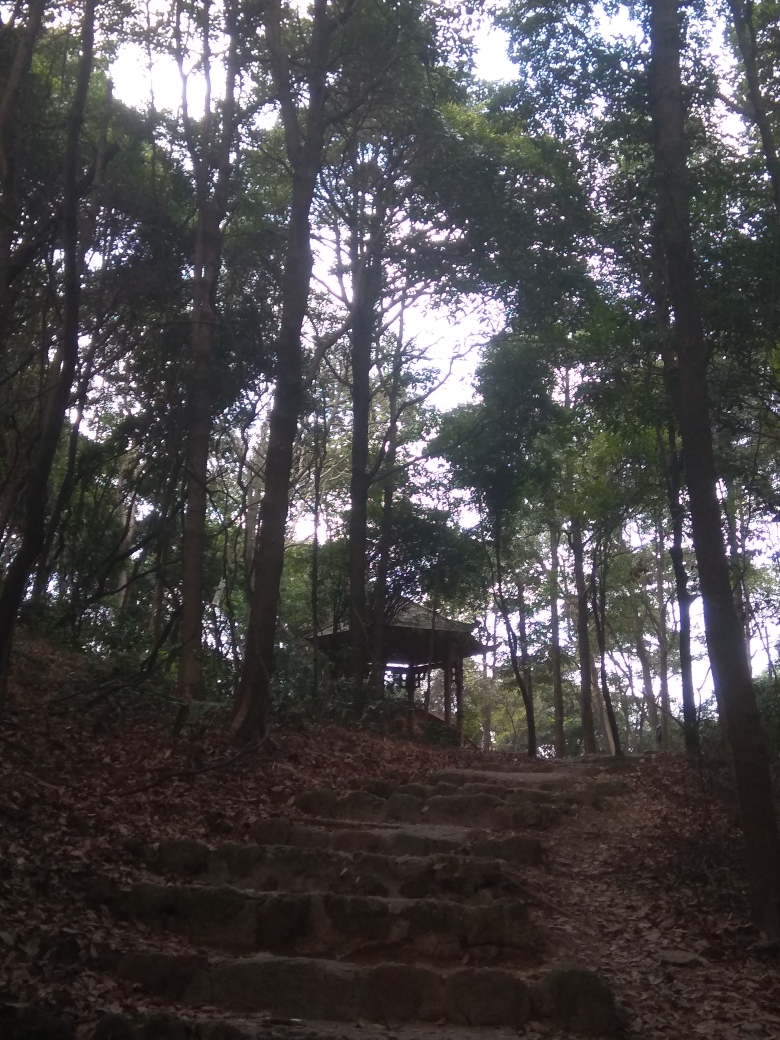 漫步王子山～人在旅途_游记