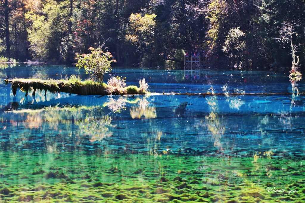 ·川行·秋之梦幻九寨_游记