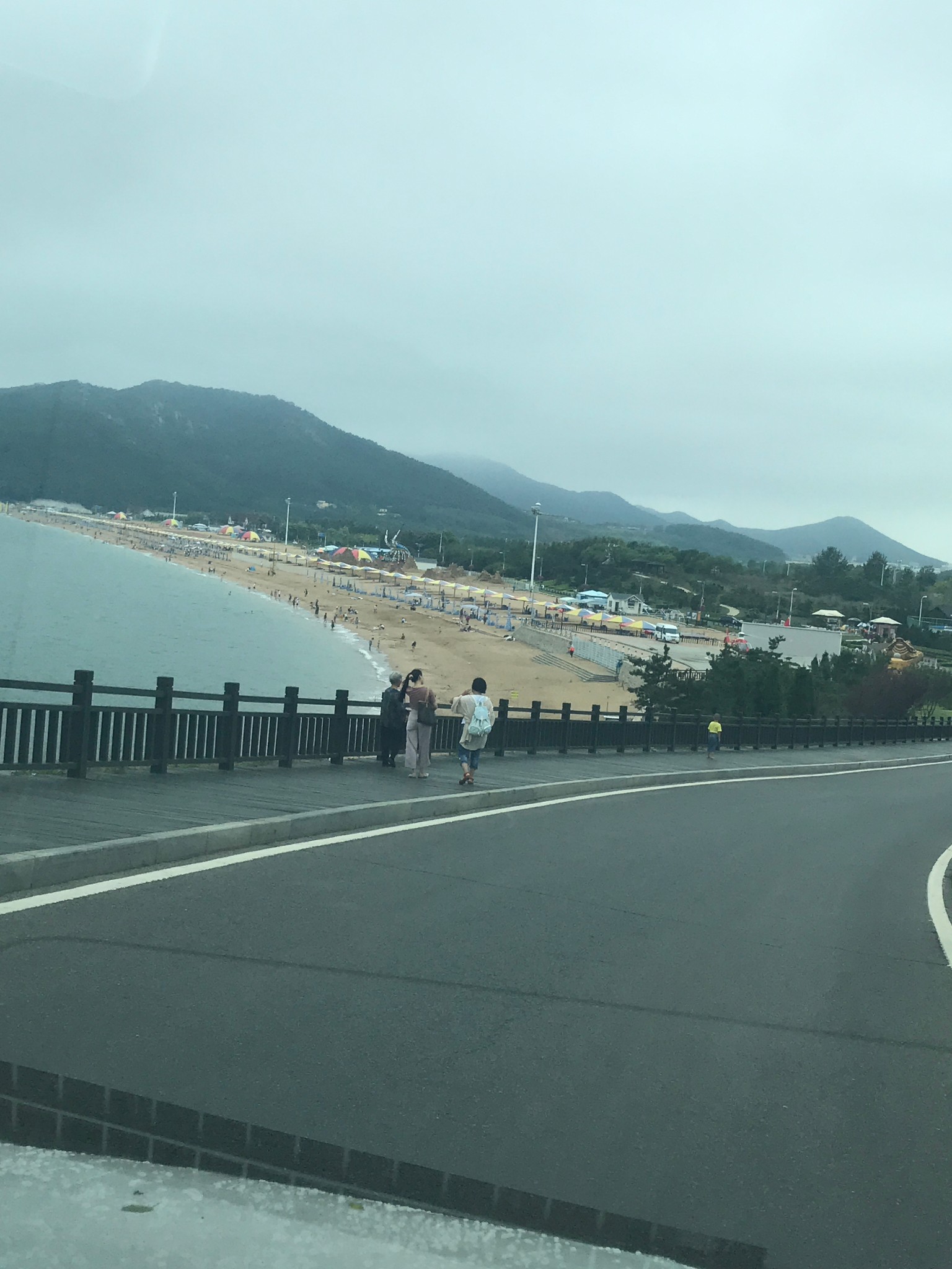 大连人口2017人口_大连星海广场图片(3)