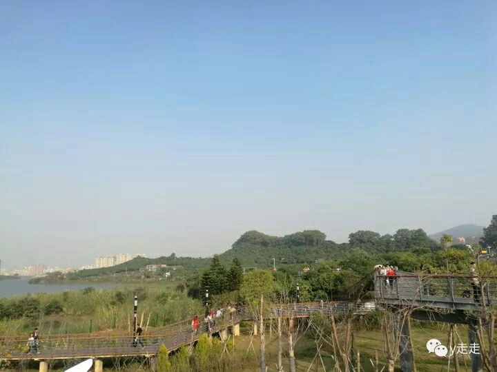 立新湖水库生态绿道,深圳的"小西湖"绿道.