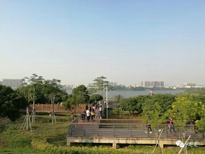 立新湖水库生态绿道,深圳的"小西湖"绿道.
