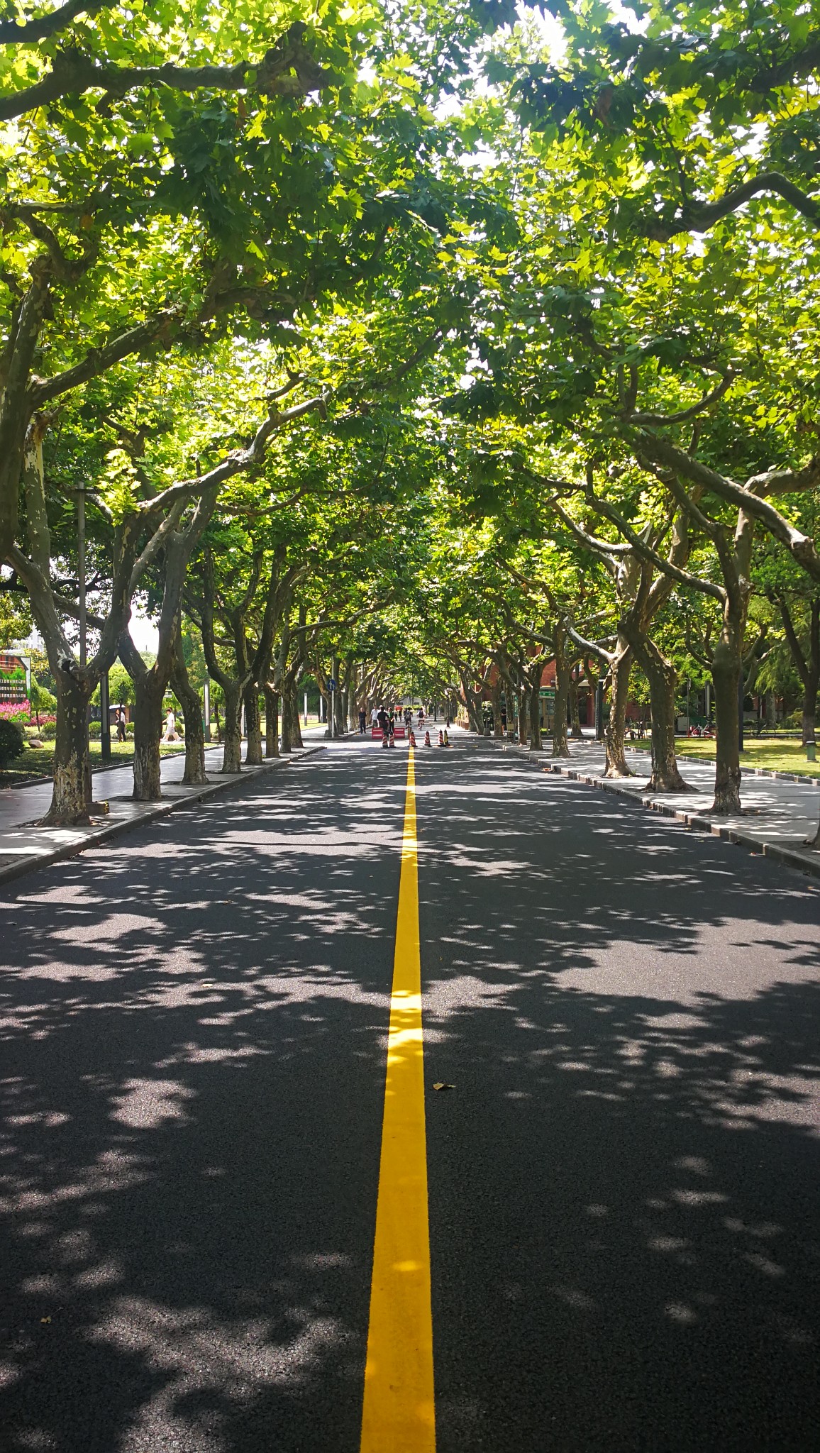 上海师范大学        