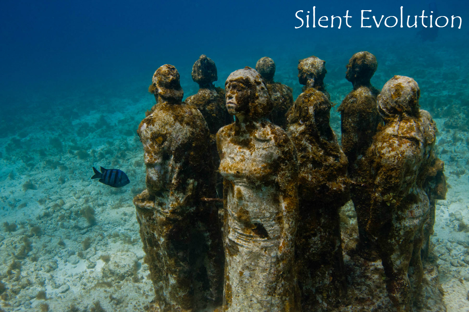 坎昆 欣赏神秘海底居民 3小时海底雕塑博物馆潜水(一