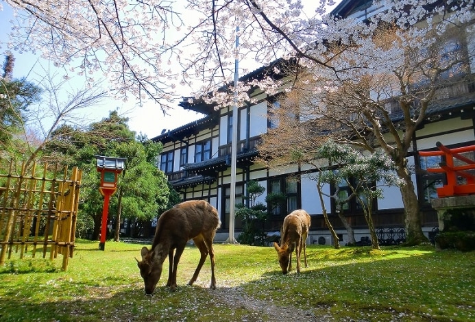 潜派旅行