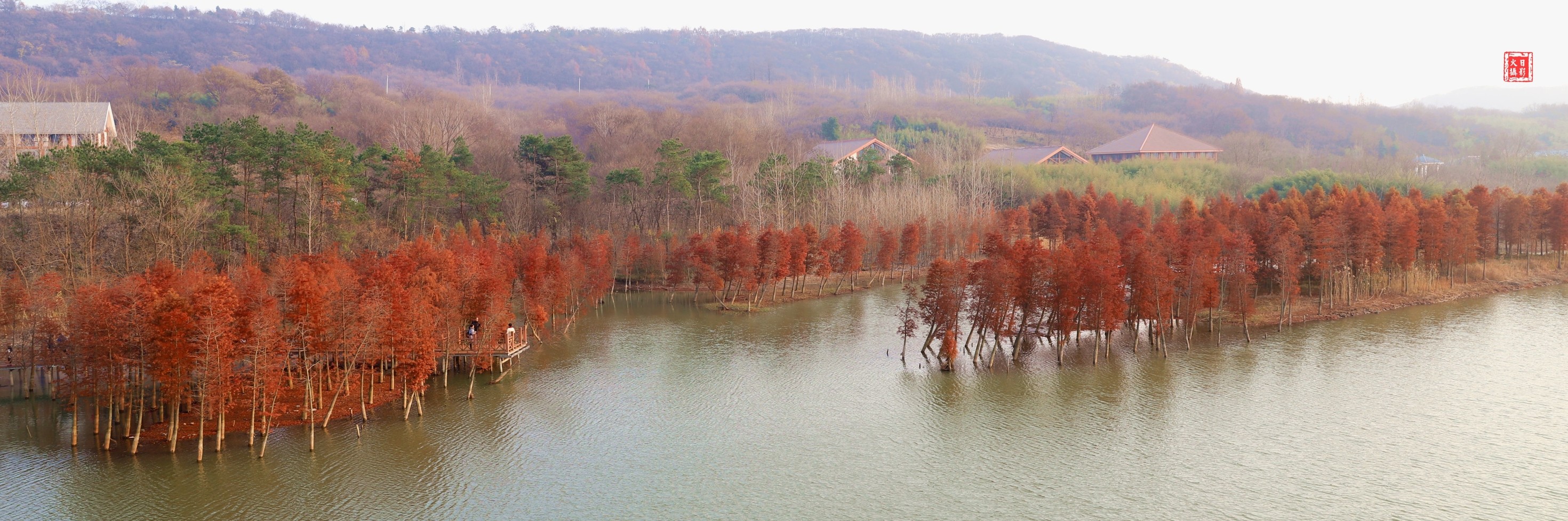 盱眙天泉湖水上红杉美景如画,盱眙旅游攻略 - 马蜂窝