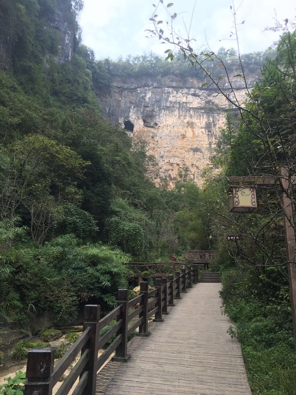 酉阳桃花源旅游