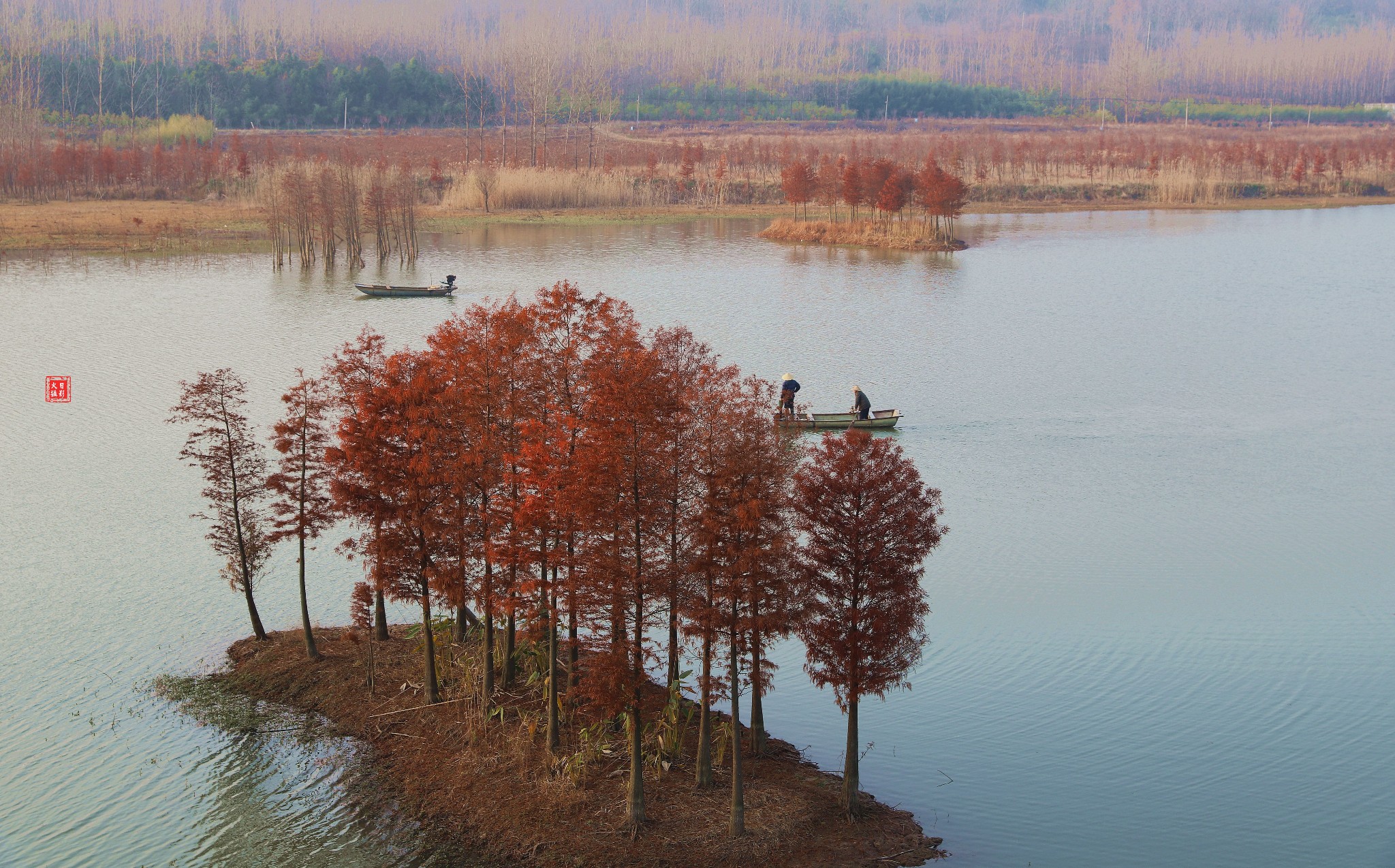 盱眙天泉湖水上红杉美景如画