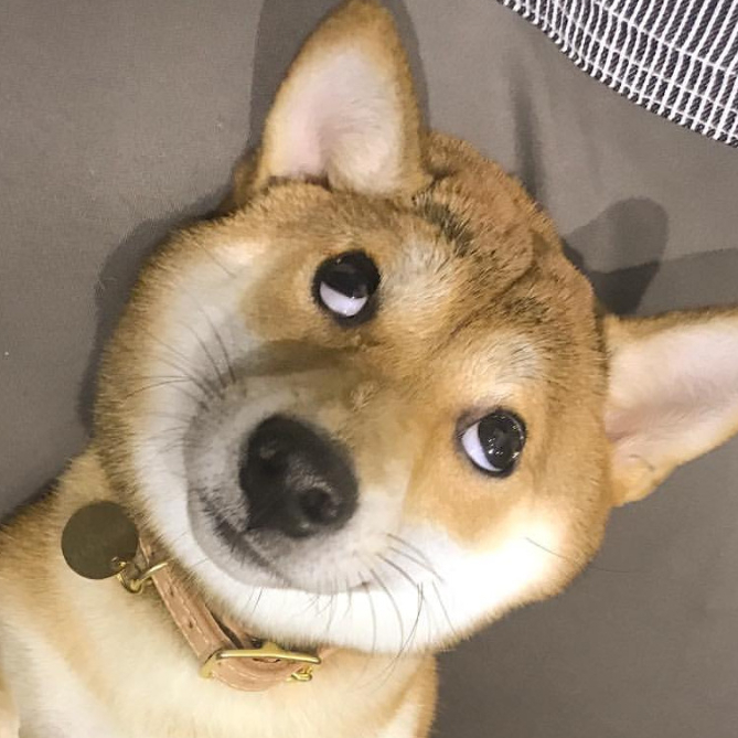 尘埃烟火