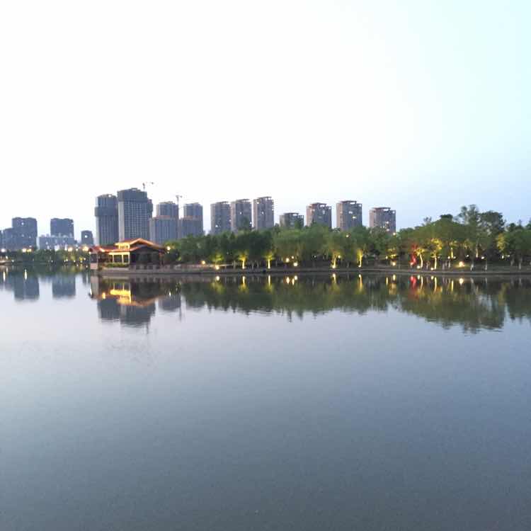 小指头
