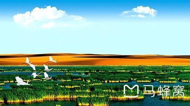 网红打卡地-抖音同款线路：宁夏银川旅游拼/包车全攻略_游记