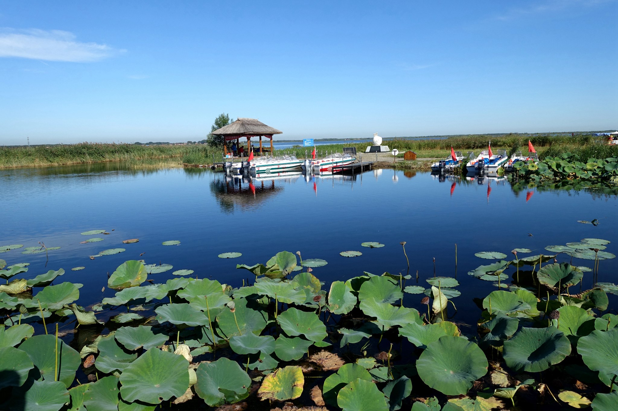 "鹤城"齐齐哈尔(上)