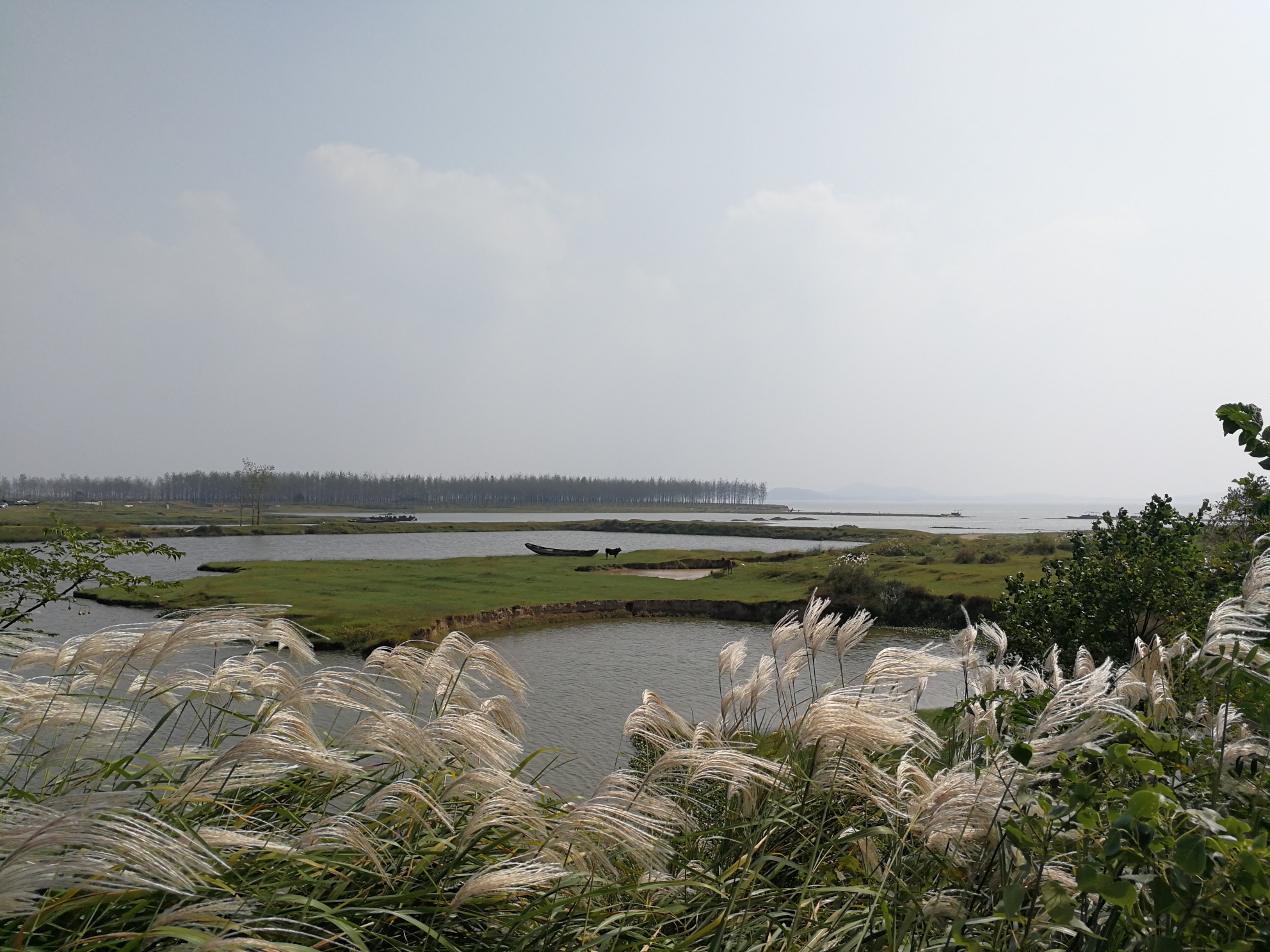 江西省都昌县马影湖（候鸟区）（2017.10.21）