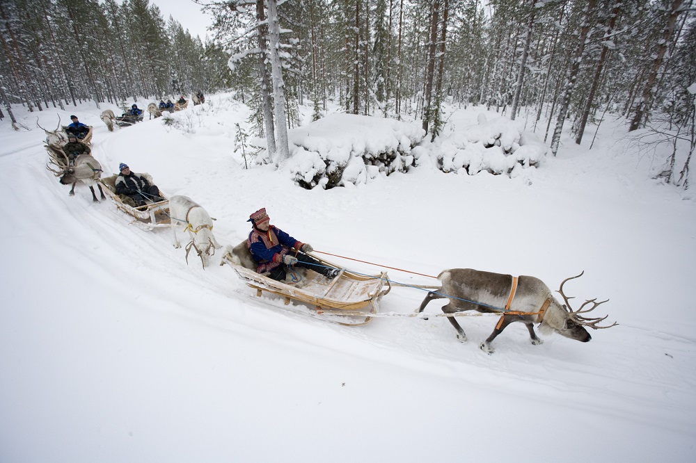 芬兰萨利色尔卡 驯鹿雪橇之旅