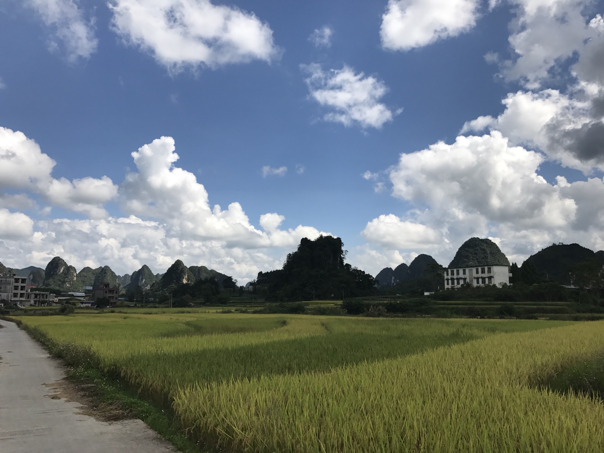 wKgBZ1ngSKuAat06AAjVH2udfjk80.jpeg?imageView2%2F2%2Fw%2F600%2Fh%2F600%2Fq%2F90