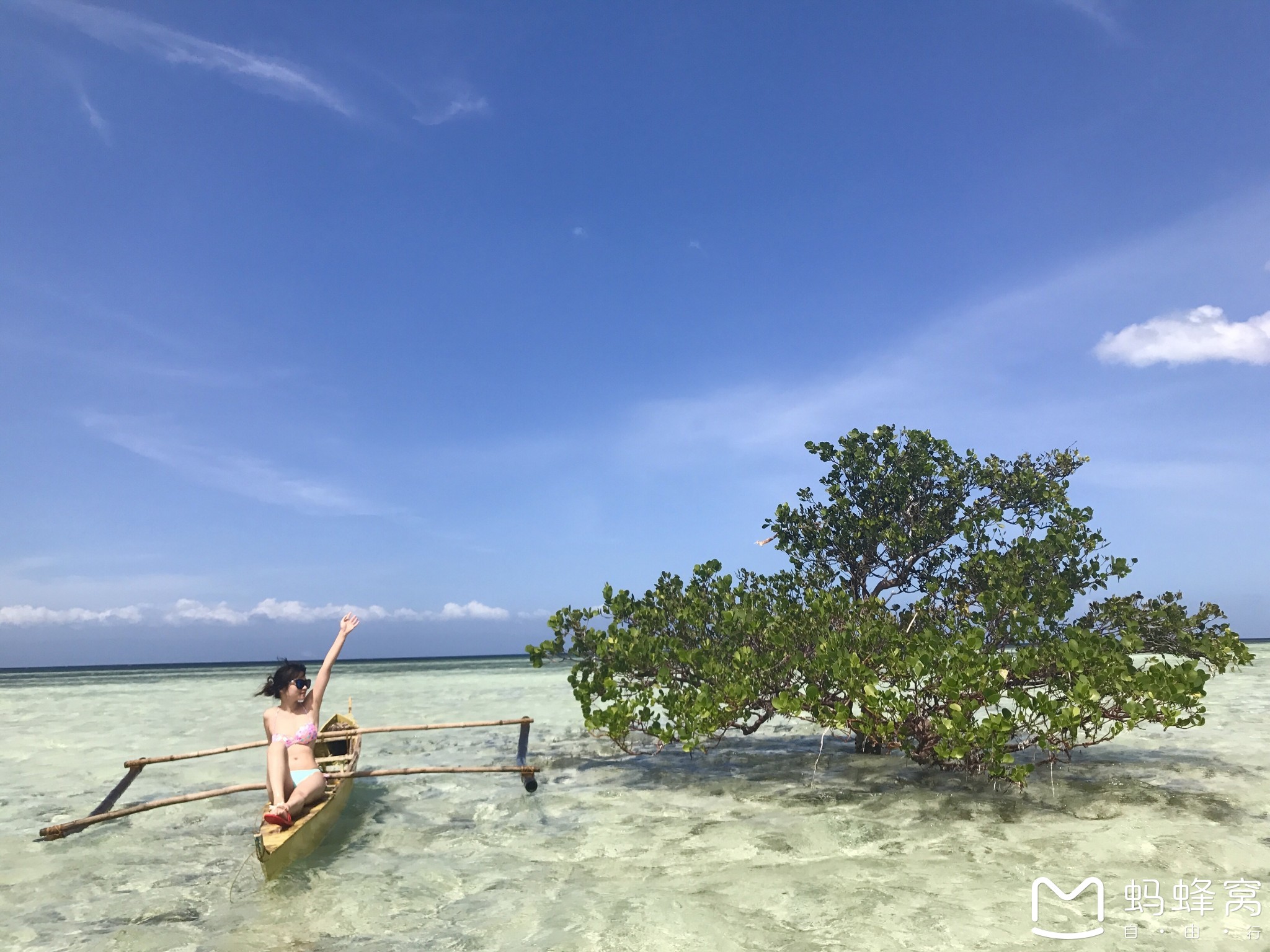 【马尼拉图片】【菲律宾13日游】跨年之旅（马尼拉－薄荷潜水ow－杜马盖地鲸鲨－Apo岛海龟-墨宝沙丁鱼风暴