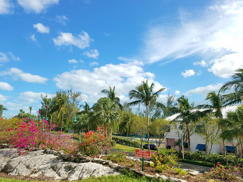 金州勇士闯荡巴哈马之旅_游记